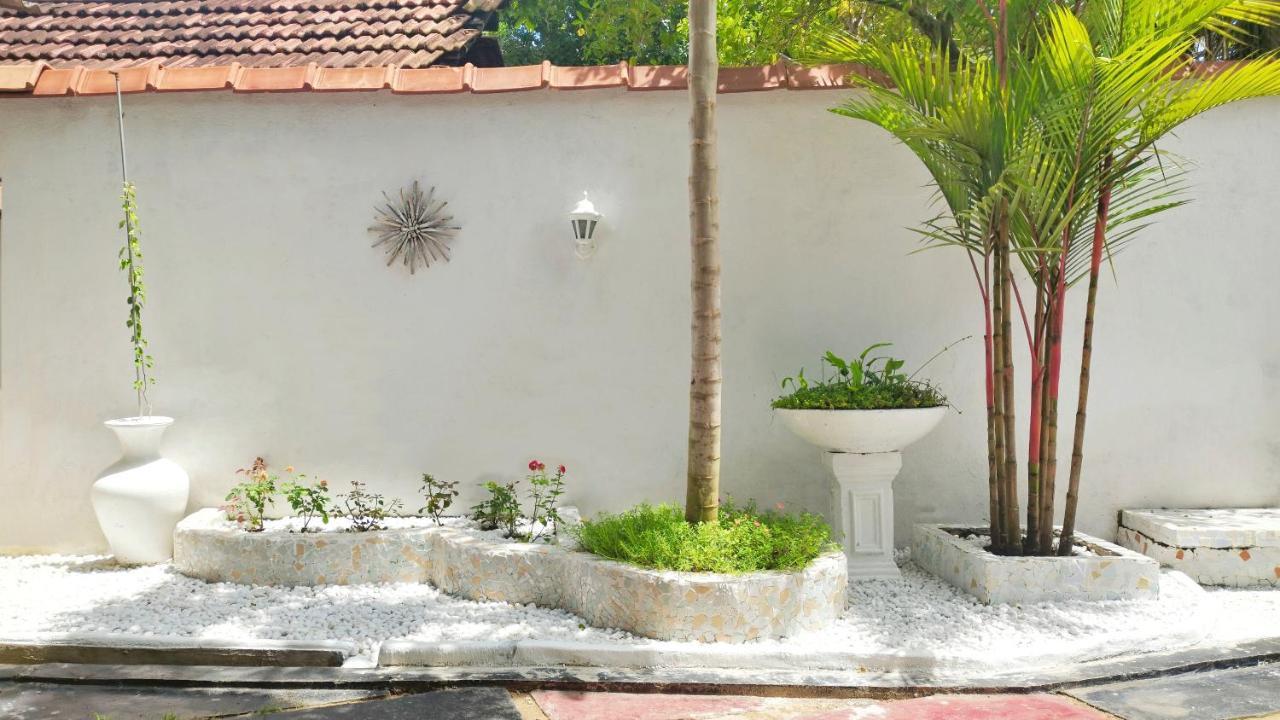 Boho Garden Guest House Mirissa Zewnętrze zdjęcie